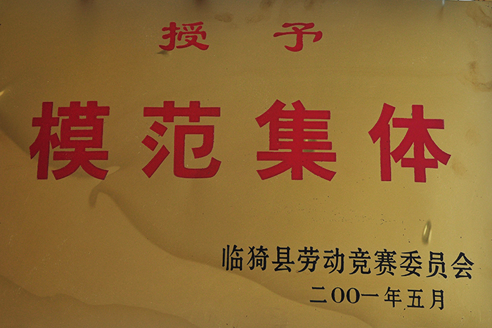 模范集體